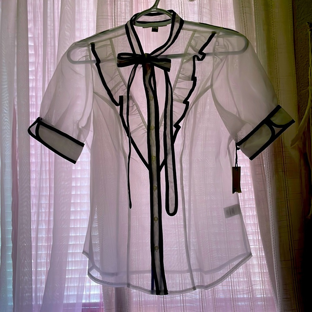 Sheer blouse with ruffles and puff sleeves.